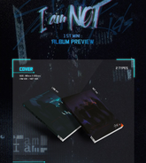 Stray Kids - I Am Not