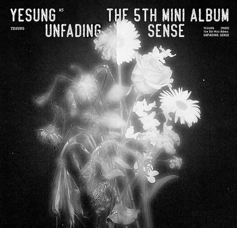 YESUNG Mini Album Vol. 5 – Unfading Sense (Photo Book Ver.)